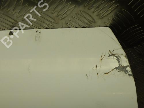 Left tailgate RENAULT KANGOO Express (FW0/1_) 1.5 dCi 90 (FW0G, FW05, FW08, FW11) | BP29895603C76