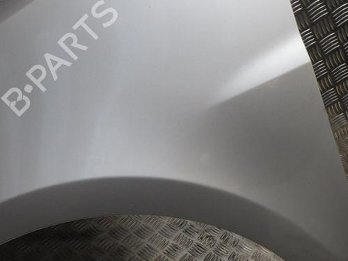 Left front fenders RENAULT CLIO III (BR0/1, CR0/1) 1.5 dCi (C/BR0G, C/BR1G) | BP24286417C41 