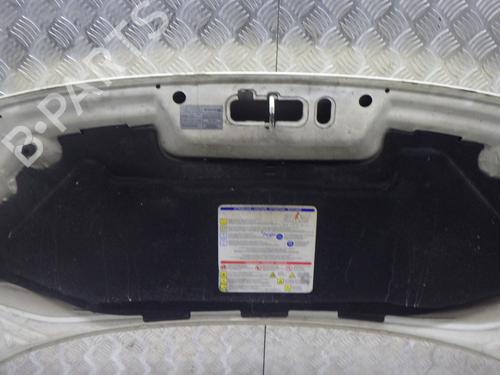 Hood FIAT 500 (312_) 1.3 D Multijet (312AXB1A) | BP29756602C1 