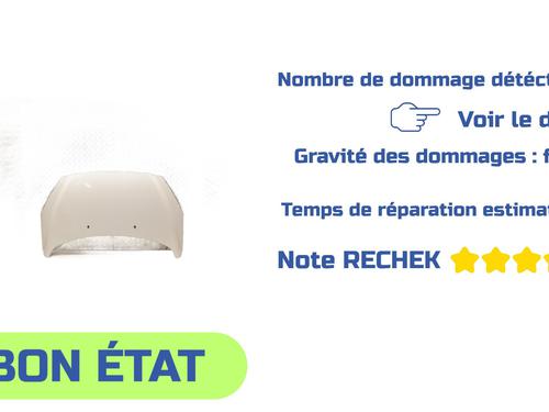 Used Hood PEUGEOT 308 I (4A_, 4C_) 1.6 HDi (109 hp) 29974260