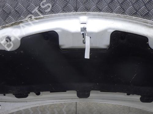 Hood CITROËN C3 II (SC_) 1.2 VTi 82 | BP31191743C1 