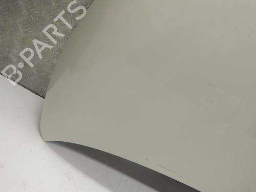 Hood FIAT 500 (312_) 1.3 D Multijet (312AXB1A) | BP29756602C1 