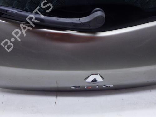Tailgate RENAULT CLIO III (BR0/1, CR0/1) 1.5 dCi (C/BR0G, C/BR1G) | BP30546014C6