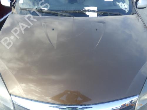 Used Hood DACIA SANDERO 1.5 dCi (68 hp) 31160107