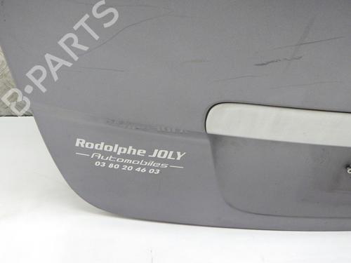 Tailgate RENAULT SCÉNIC III (JZ0/1_) 1.9 dCi (JZ0J, JZ1J, JZ1K, JZ1S) | BP29372179C6 