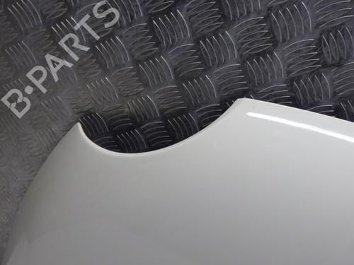 Hood FIAT 500 (312_) 1.3 D Multijet (312AXB1A) | BP29756602C1 