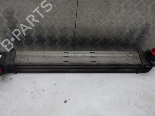 Intercooler Intercooler RENAULT MEGANE III Coupe (DZ0/1_) 1.5 dCi (DZ0B) (106 hp) 34373188 34373188