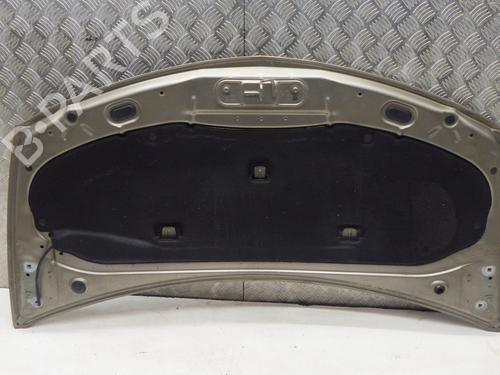 hood-renault-clio-iii-br01-cr01-2005-2006-2007-2008-2009-2010-2011-2012-2013-2014-36249777 main image