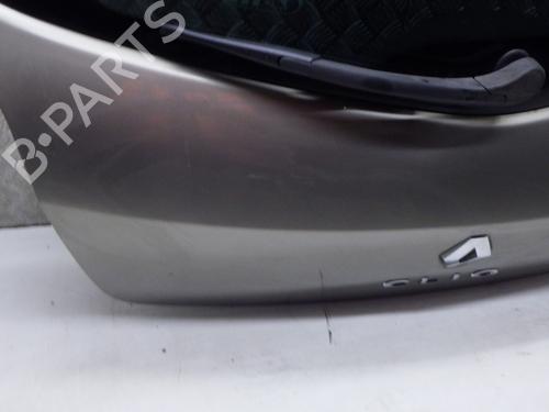 Tailgate RENAULT CLIO III (BR0/1, CR0/1) 1.5 dCi (C/BR0G, C/BR1G) | BP30546014C6