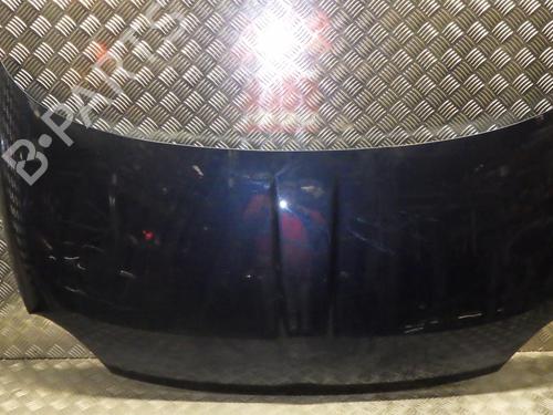 Hood FIAT 500 (312_) 1.4 (312AXC1B, 312CXC1B) | BP24285683C1