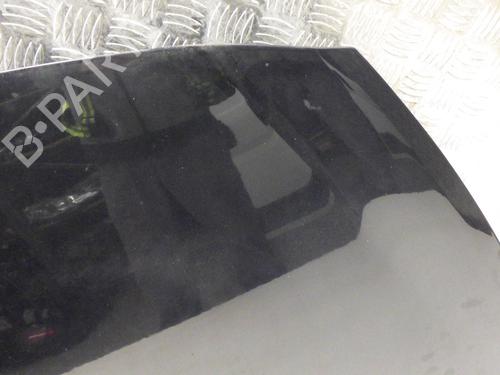 Hood RENAULT CLIO III (BR0/1, CR0/1) 1.5 dCi (C/BR0G, C/BR1G) | BP29304539C1 