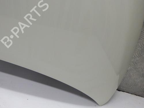 Hood FIAT 500 (312_) 1.3 D Multijet (312AXB1A) | BP29756602C1 