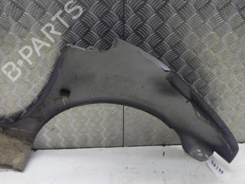 Guarda-lamas esquerdo RENAULT TWINGO I (C06_) 1.2 (C066, C068) | BP30648139C41