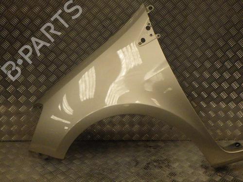 Used Left front fenders RENAULT CLIO III (BR0/1, CR0/1) 1.5 dCi (BR17, CR17) (86 hp) 24287645