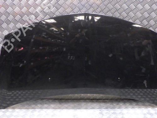 Used Hood RENAULT CLIO III (BR0/1, CR0/1) 1.5 dCi (BR17, CR17) (86 hp) 28588380