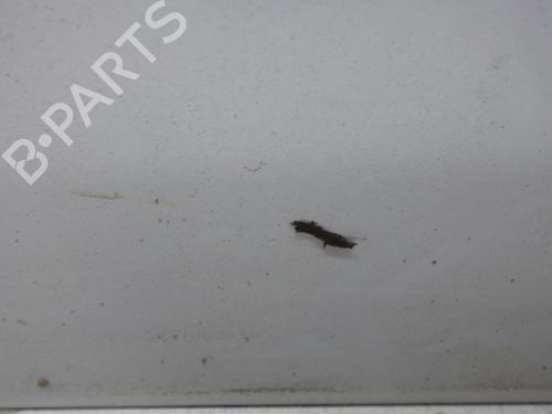 Left tailgate RENAULT TRAFIC II Van (FL) 2.0 dCi 90 (FL0H, FL00, FL01, FL0M, FL0P, FL0S) | BP37671287C76 - Image 6