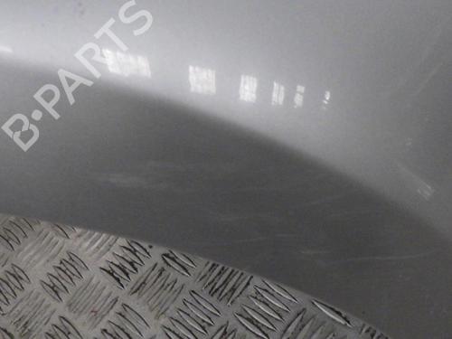 Right front fenders RENAULT CLIO III (BR0/1, CR0/1) 1.5 dCi | BP24287473C42 