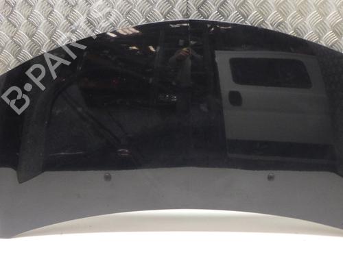 Hood RENAULT CLIO III (BR0/1, CR0/1) 1.5 dCi (C/BR0G, C/BR1G) | BP29304539C1 