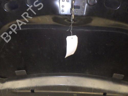 Hood CITROËN C4 Picasso I MPV (UD_) 2.0 i 16V | BP24450533C1 