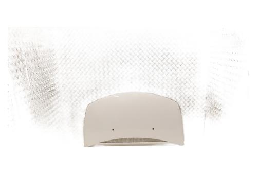 Hood RENAULT CLIO III (BR0/1, CR0/1) 1.5 dCi (BR17, CR17) | BP29936949C1