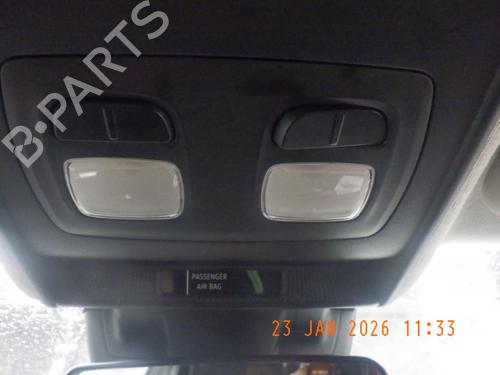 Plafonier RENAULT CLIO V (B7_) 1.5 Blue dCi 85 (B7AG) (86 hp) 31909532
