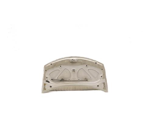 Hood RENAULT CLIO III (BR0/1, CR0/1) 1.5 dCi (BR17, CR17) | BP29936949C1