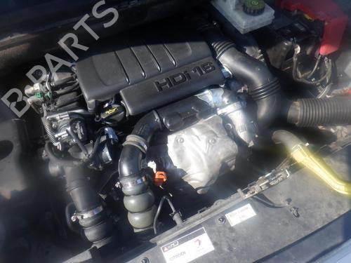 Left front door CITROËN BERLINGO MULTISPACE (B9) 1.6 HDi 75 16V | BP24286575C2 