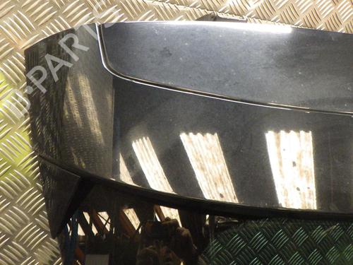 Used Tailgate Tailgate RENAULT MEGANE III Coupe (DZ0/1_) 1.5 dCi (DZ09, DZ0D, DZ1F, DZ1G, DZ14, DZ29) (110 hp) 26603444 26603444