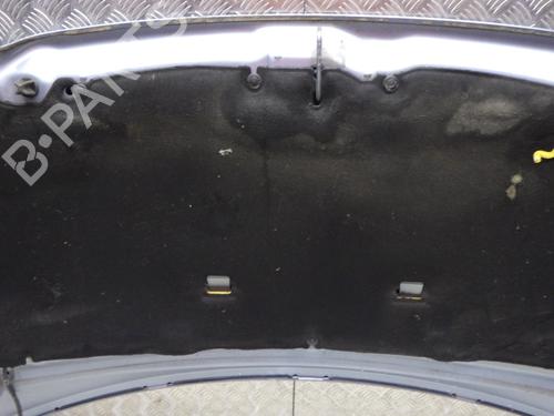 Hood PEUGEOT 308 I (4A_, 4C_) 1.6 HDi | BP30466491C1 