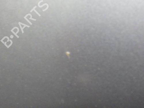 Hood RENAULT SCÉNIC II (JM0/1_) 1.6 (JM0C, JM0J, JM1B) | BP31857431C1 