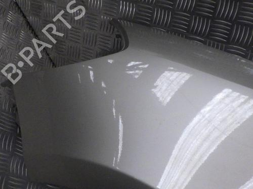 Left front fenders RENAULT CLIO III (BR0/1, CR0/1) 1.5 dCi (BR17, CR17) | BP24287645C41 