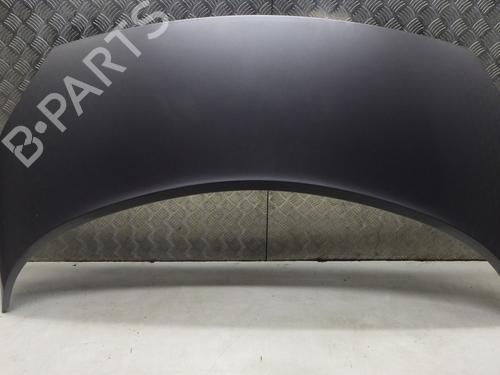 hood-renault-scenic-ii-jm01_-2003-2004-2005-2006-2007-2008-2009-2010-31857431 main image
