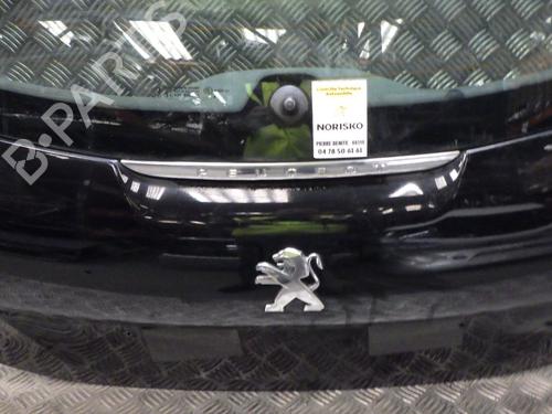 Tailgate PEUGEOT 208 I (CA_, CC_) 1.6 HDi | BP24888570C6