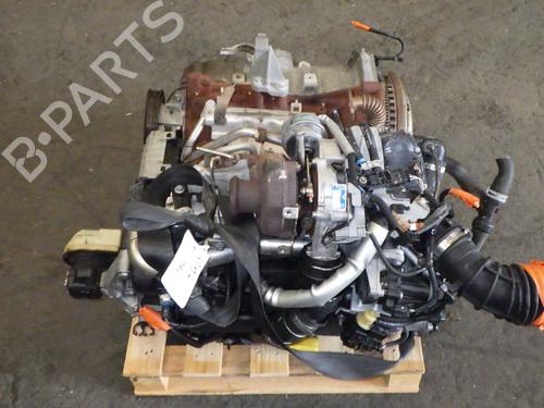 Engine RENAULT MEGANE III Hatchback (BZ0/1_, B3_) 1.5 dCi (BZ09, BZ0D, BZ1W, BZ29, BZ14) | BP28113024M1 