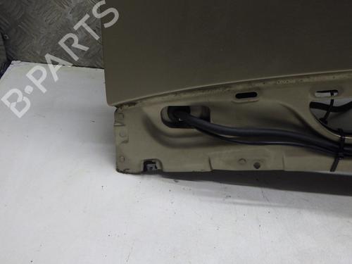 Capot Capot MERCEDES-BENZ A-CLASS (W169) A 180 CDI (169.007, 169.307) (109 hp) 31318810 31318810