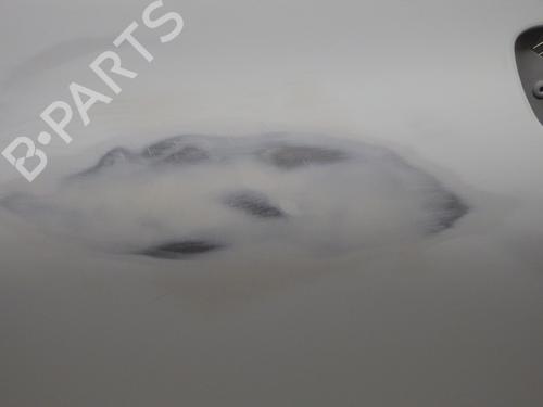 Right front door RENAULT CLIO IV (BH_) 1.5 dCi 75 | BP29402514C3