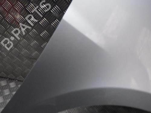 Right front fenders RENAULT CLIO III (BR0/1, CR0/1) 1.5 dCi (C/BR0G, C/BR1G) | BP24286416C42 