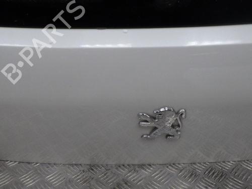 Tailgate PEUGEOT 3008 I MPV (0U_) 1.6 HDi | BP24286787C6 