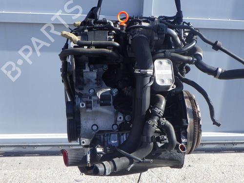 Engine AUDI A3 (8P1) 1.6 TDI | BP39436307M1 - Image 4