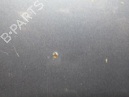 Used Hood Hood PEUGEOT 207 (WA_, WC_) 1.6 HDi (90 hp) 34345215 34345215