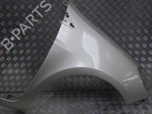 Right front fenders RENAULT CLIO III (BR0/1, CR0/1) 1.5 dCi (BR17, CR17) | BP24287644C42 