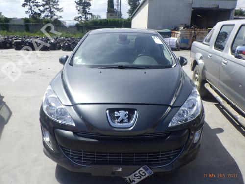Interior roof light PEUGEOT 308 I (4A_, 4C_) 1.6 16V | BP29895628I8