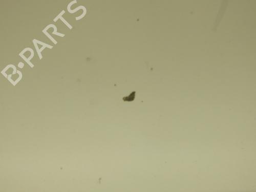 Left front door RENAULT CLIO IV (BH_) 1.5 dCi 75 | BP29402515C2 