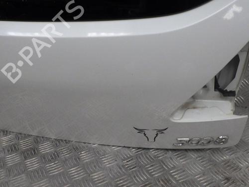 Tailgate PEUGEOT 3008 I MPV (0U_) 1.6 HDi | BP24286787C6 