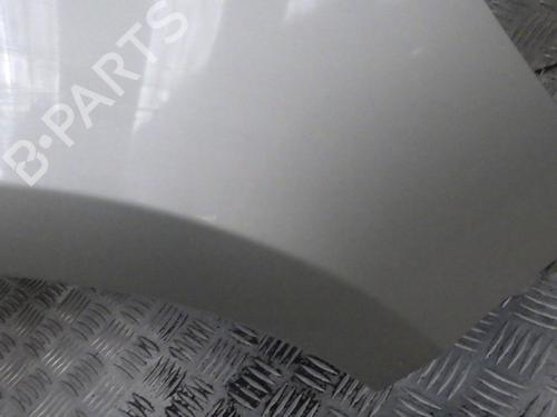 Right front fenders RENAULT CLIO III (BR0/1, CR0/1) 1.5 dCi (BR17, CR17) | BP24287644C42 