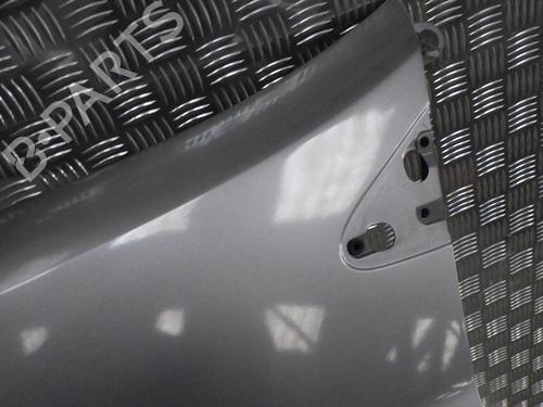Left front fenders RENAULT CLIO III (BR0/1, CR0/1) 1.5 dCi (BR17, CR17) | BP24285946C41 