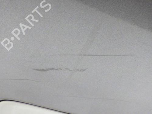 Tailgate RENAULT SCÉNIC III (JZ0/1_) 1.9 dCi (JZ0J, JZ1J, JZ1K, JZ1S) | BP29372179C6 