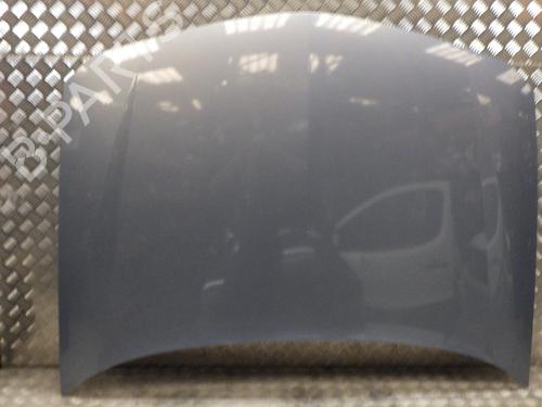 Used Hood RENAULT LAGUNA II (BG0/1_) 1.9 dCi (BG1A, BG1W, BG0G) (110 hp) 27747164