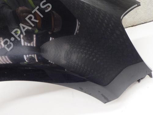 Right front fenders RENAULT CLIO III (BR0/1, CR0/1) 1.5 dCi (C/BR0G, C/BR1G) | BP29304538C42 