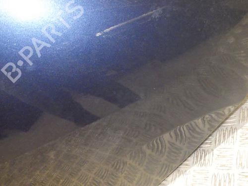 Left rear door CITROËN DS4 (NX_) 1.6 HDi 115 | BP26617117C4 